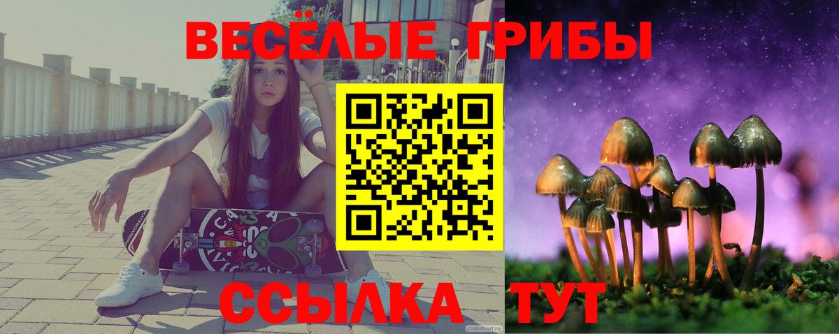 Галлюциногенные грибы прущие грибы Шумерля