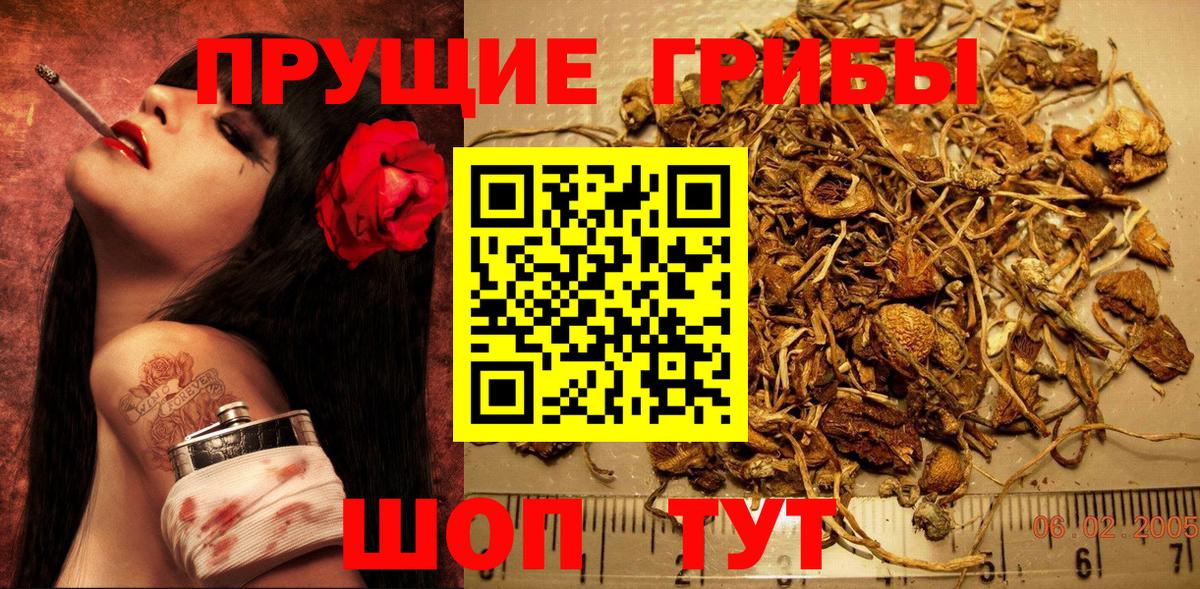 Галлюциногенные грибы MAGIC MUSHROOMS  Галлюциногенные грибы мицелий  купить закладку  Вход с VPN  Шумерля 